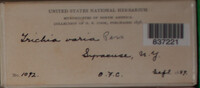 Image Associated With the Occurence